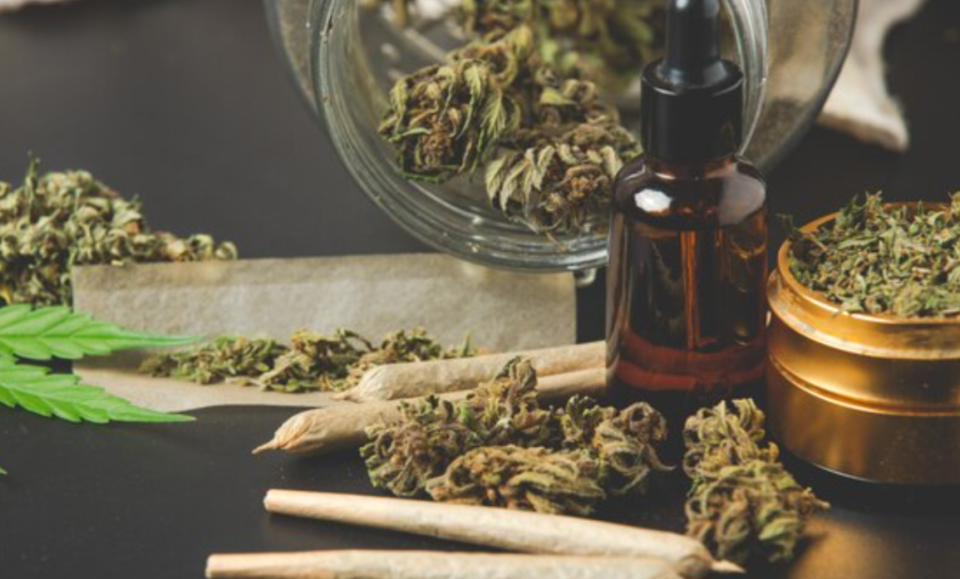 El cannabis recreativo queda fuera de la papeleta electoral en Florida