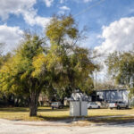 ¿Los incentivos del Ayuntamiento traerán de vuelta las viviendas unifamiliares a Parramore?