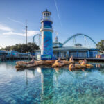 SeaWorld apunta a residencias multifamiliares, no hoteles, frente al parque temático de Orlando