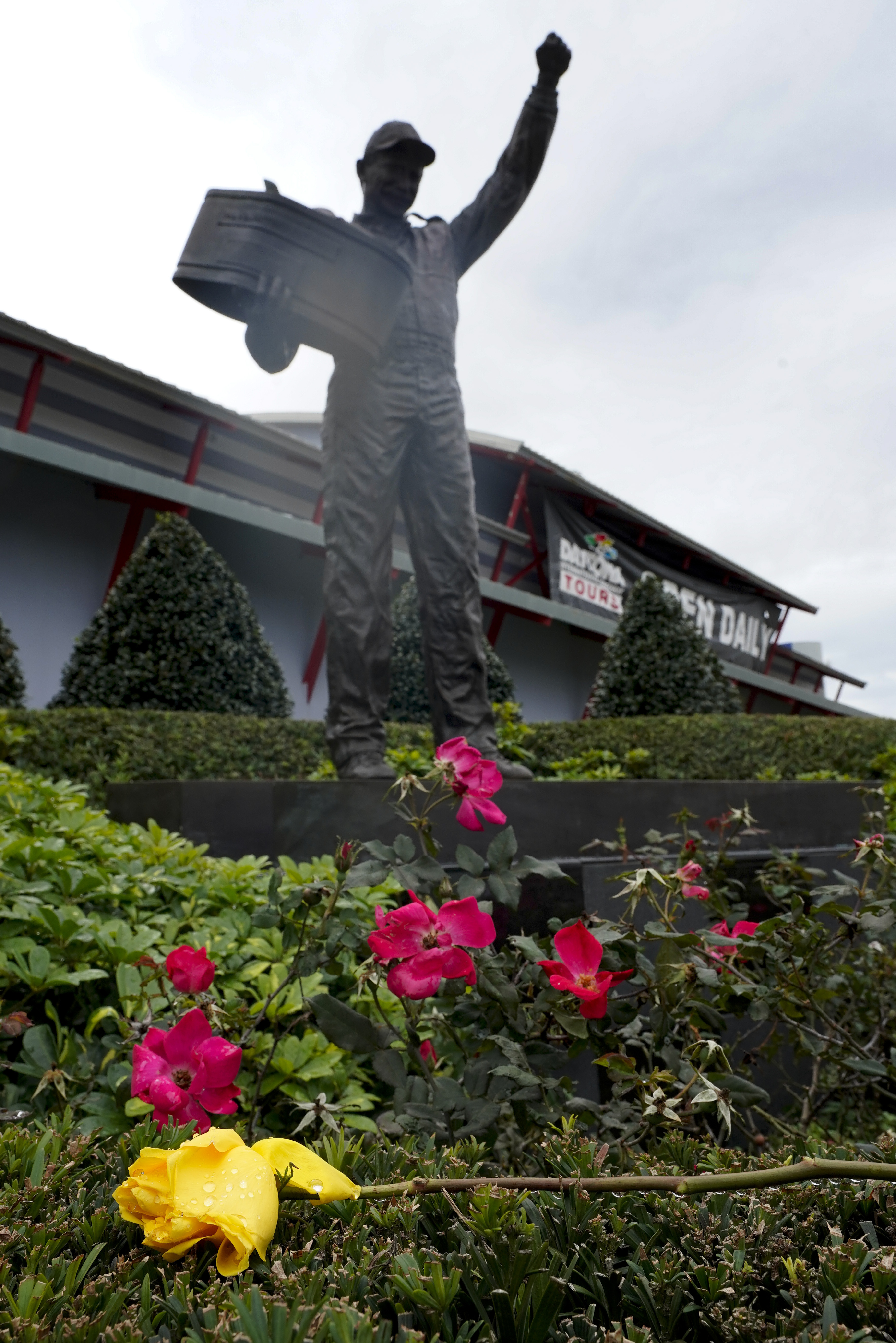 Se colocó una flor cerca de la estatua de Dale Earnhardt, Sr., antes de las 500 Millas de Daytona de 2021 en el Daytona International Speedway, 20 años después de su muerte en la supervelocidad. (Foto AP/Chris O'Meara)