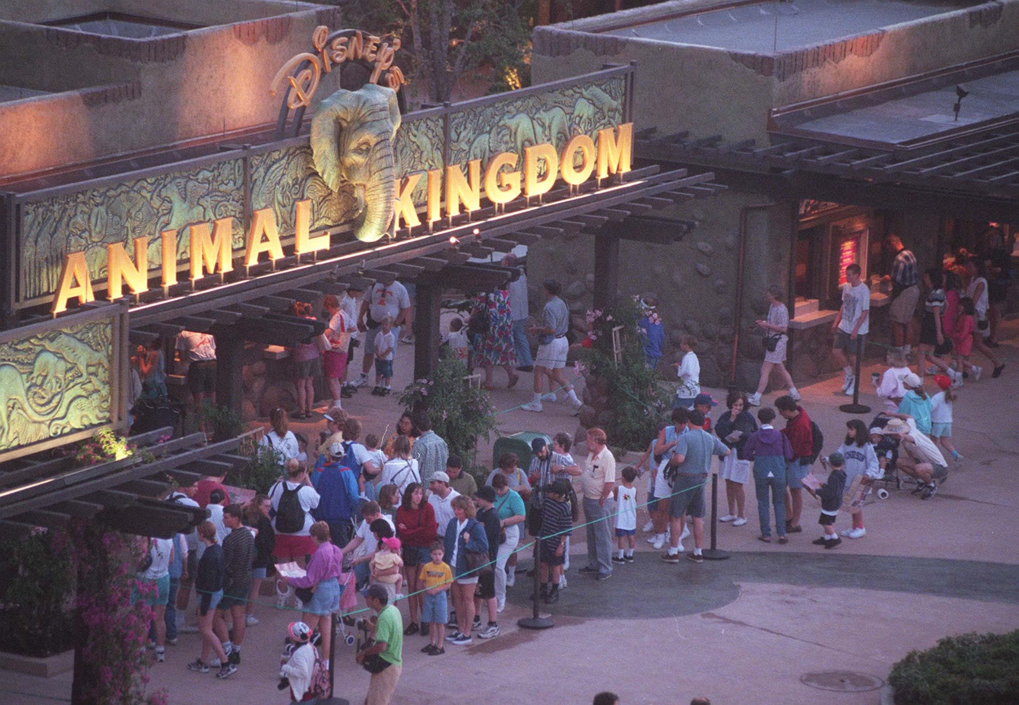 Los visitantes de Disney's Animal Kingdom hacen fila antes del amanecer para comprar boletos para el día de la gran inauguración el 22 de abril de 1998. La venta de boletos en el lugar se detuvo cuando el estacionamiento del parque temático se llenó al máximo de su capacidad y se cerró a las 7:09 am (archivo Orlando Sentinel)