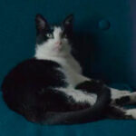 Hace 11 años, un despido fulminante hundió esta película: tiempo después acabaría llegando a los Oscar