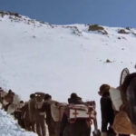 En ‘streaming’: Una emocionante y hermosa aventura ambientada en un impresionante entorno natural