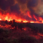Incendios forestales en Georgia y Florida destruyen más de 50 hogares y obligan a realizar evacuaciones | CNN