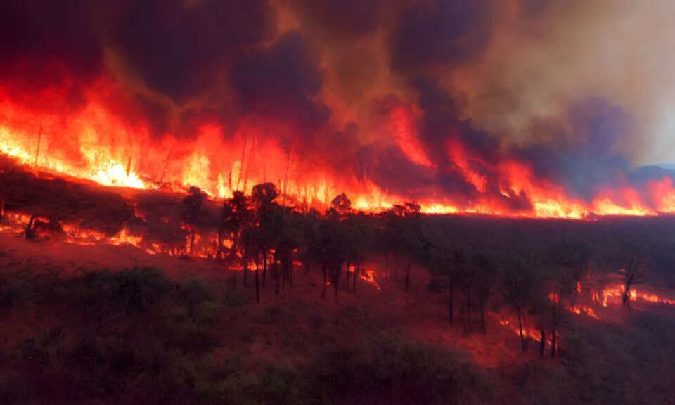 Incendios forestales en Georgia y Florida destruyen más de 50 hogares y obligan a realizar evacuaciones | CNN