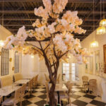 Una nueva cafetería y salón de té llegarán al histórico Teatro Rialto de Tampa