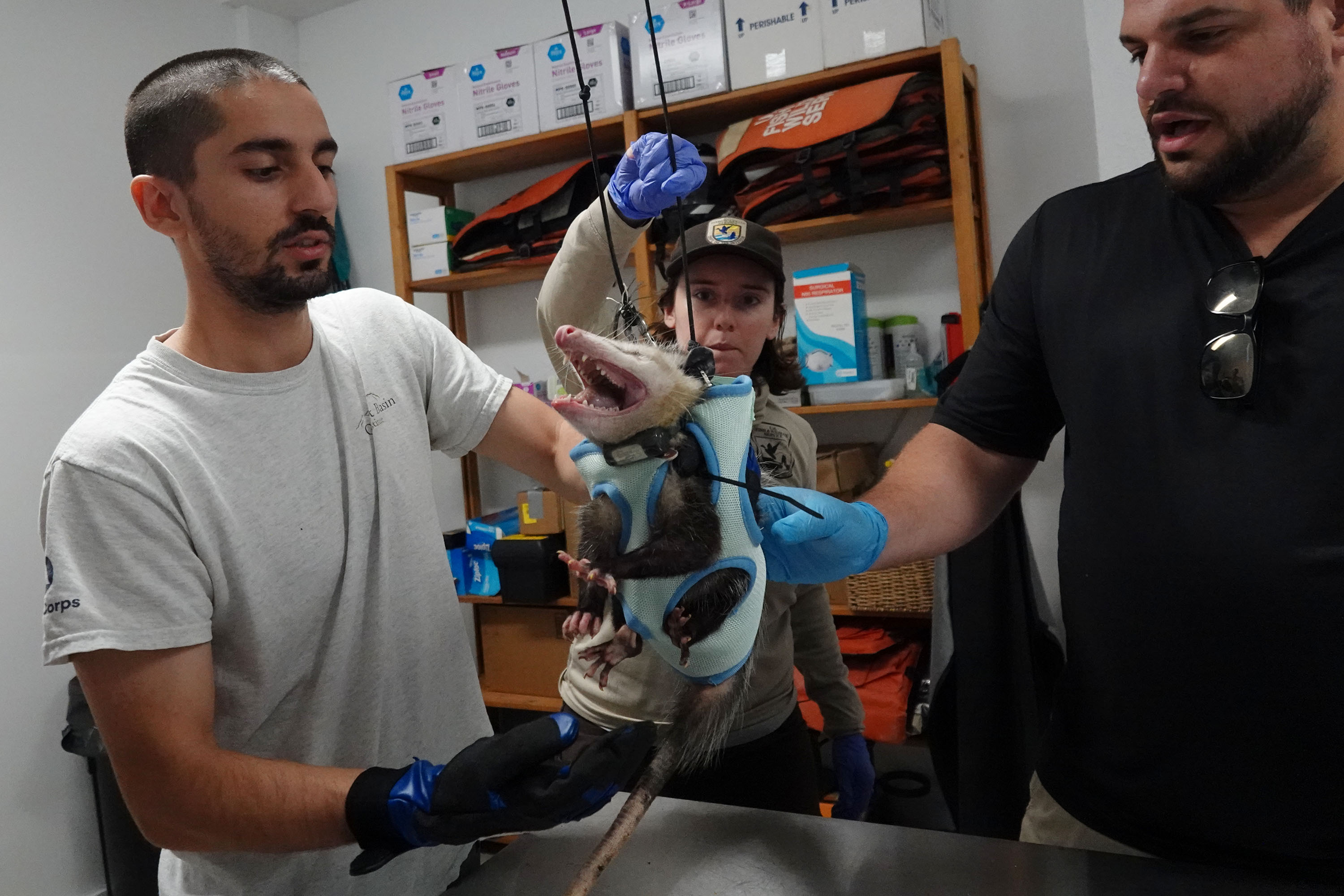 AJ Sanjar, desde la izquierda, Isabella Collamati y Mike Cove colocan...