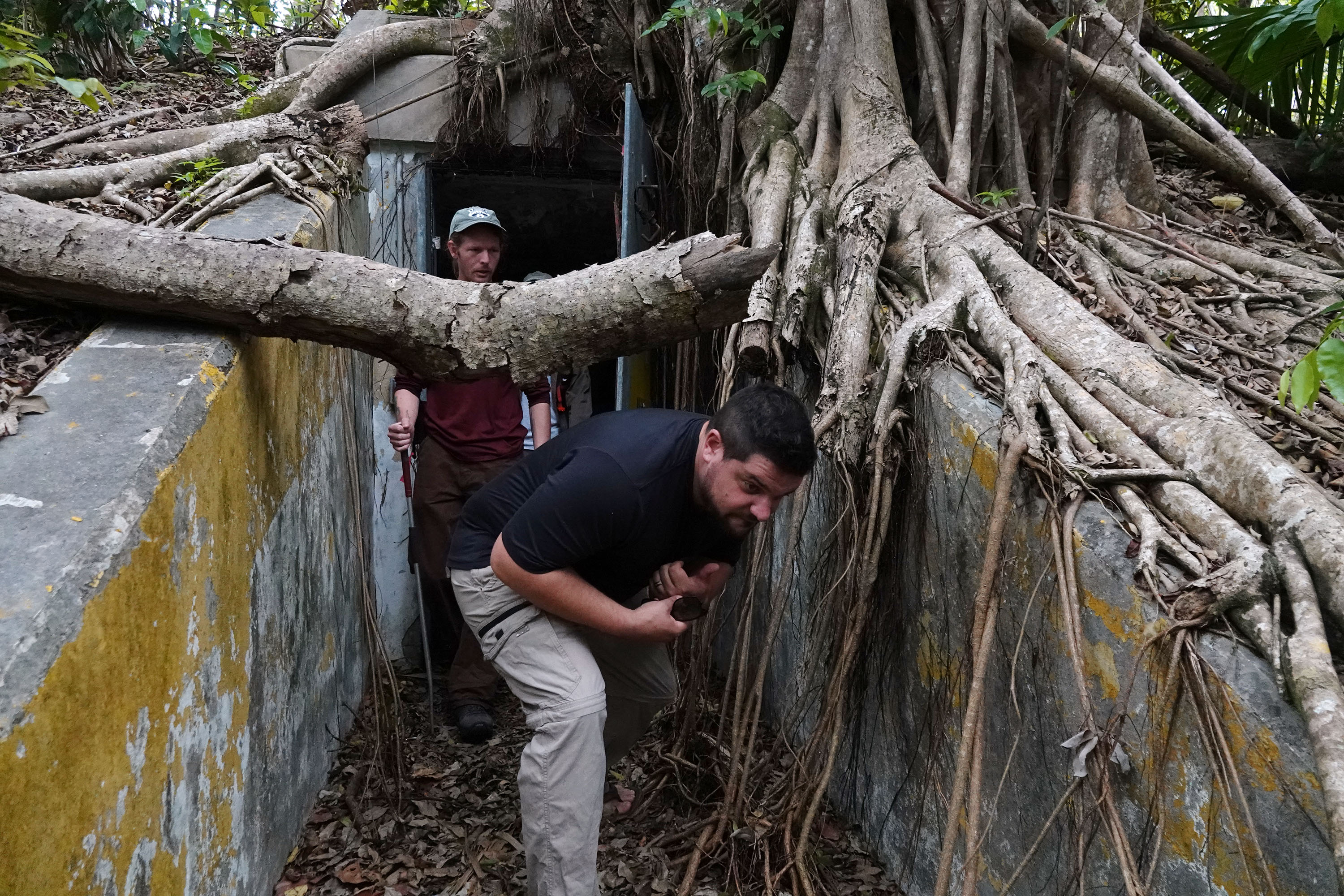 Isaac Lord, izquierda, y Mike Cove inspeccionan un búnker abandonado de misiles Nike de la época de la Guerra Fría el miércoles 15 de abril de 2026 en el Refugio Nacional de Vida Silvestre Crocodile Lake en Key Largo. Los búnkeres atraen a pitones invasoras y a los pequeños mamíferos de los que se alimentan. (Joe Cavaretta/Sun Sentinel del Sur de Florida)