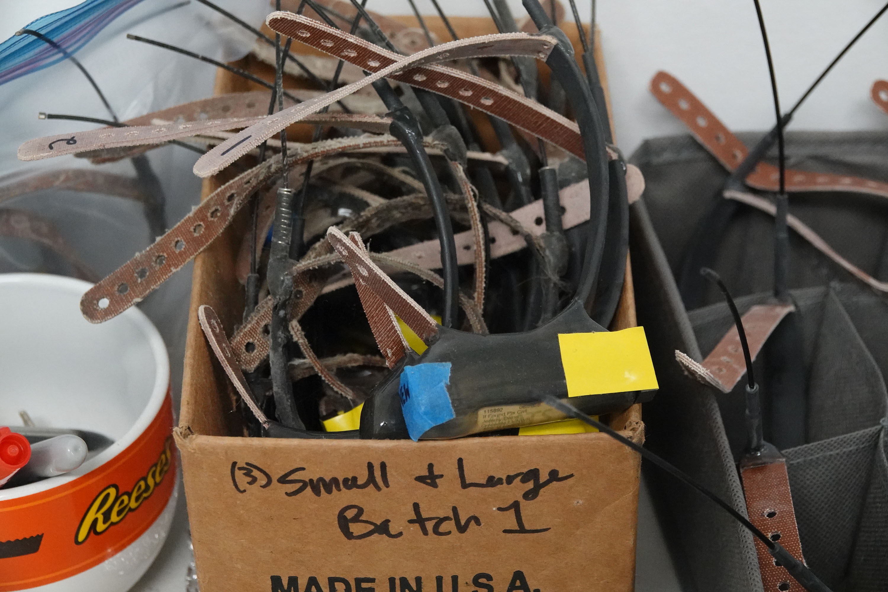 Los collares de radio que se colocarán en las zarigüeyas se ven el miércoles 15 de abril de 2026 en el Refugio Nacional de Vida Silvestre Crocodile Lake en Key Largo. (Joe Cavaretta/Sun Sentinel del Sur de Florida)