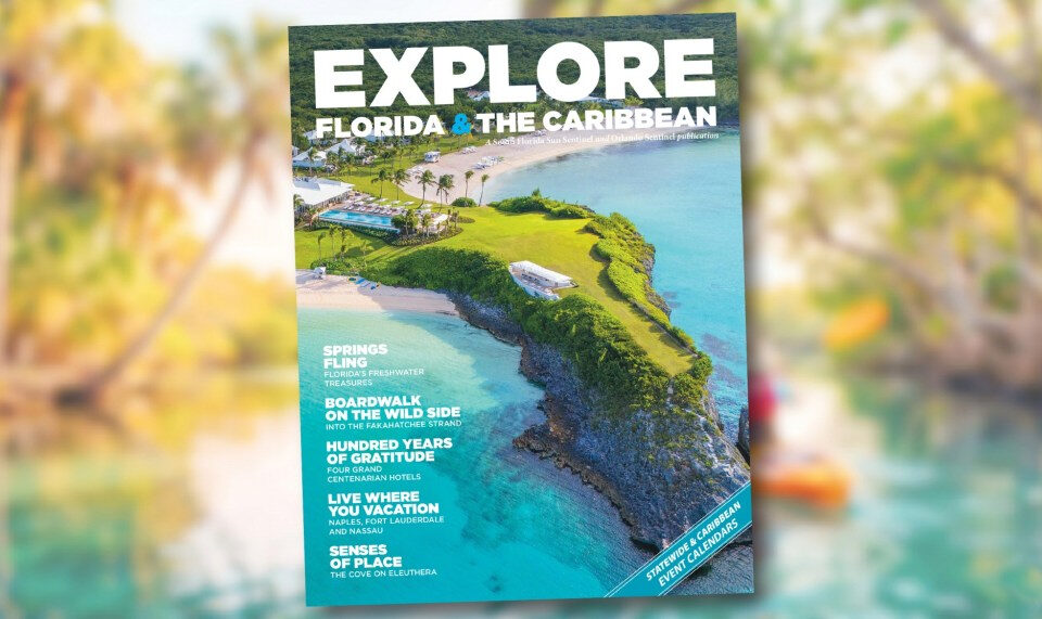 Vale la pena el viaje: explora Florida y el Caribe