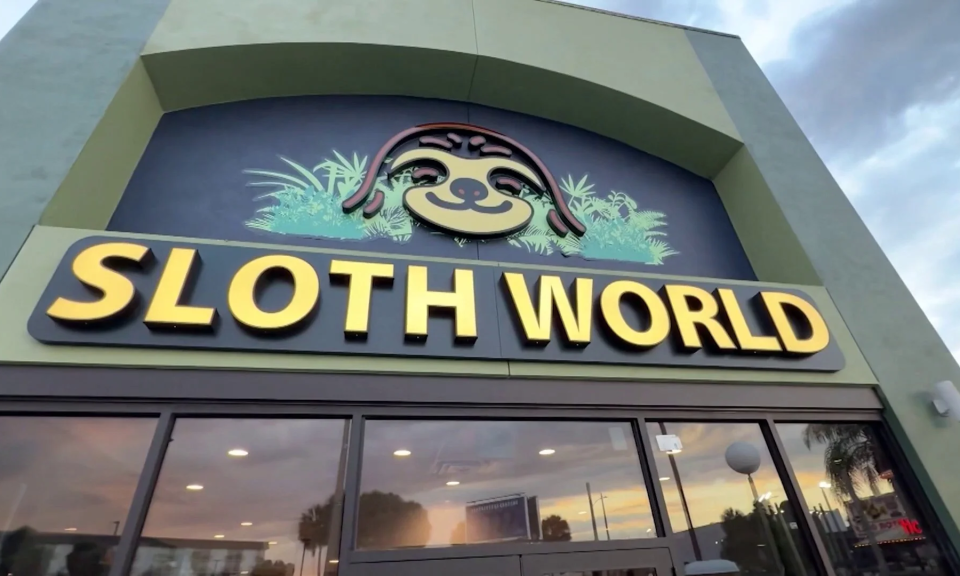 Sloth World Orlando: nuevos registros elevan a 55 los perezosos muertos