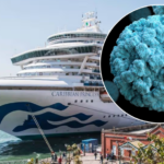 Brote de norovirus deja 115 enfermos en crucero que salió de Fort Lauderdale