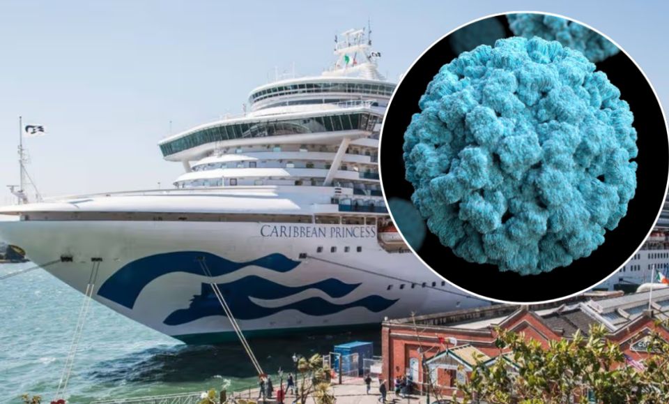Brote de norovirus deja 115 enfermos en crucero que salió de Fort Lauderdale