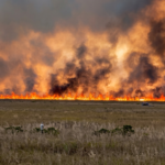 Incendios forestales consumen más de 5,000 acres en los Everglades y cubren de humo el sur de Florida