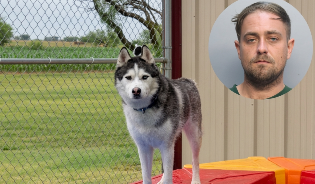 Capturan en Miami a cuidador de perro tras robarlo y dejarlo morir