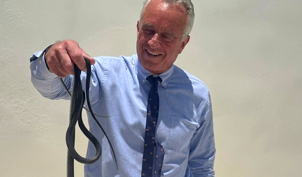 Una lo mordió: Robert F. Kennedy Jr. atrapa con sus manos dos serpientes en Florida
