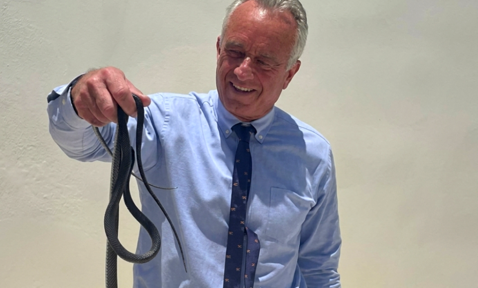 Una lo mordió: Robert F. Kennedy Jr. atrapa con sus manos dos serpientes en Florida
