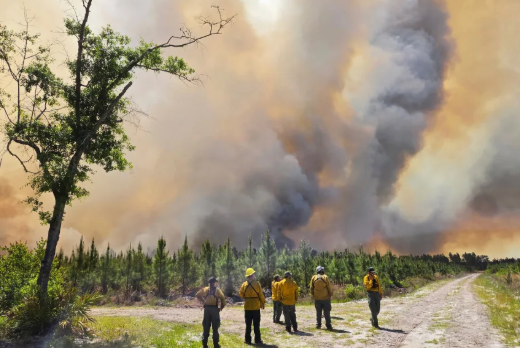 Esta foto proporcionada por el Departamento de Recursos Naturales de Georgia muestra a bomberos respondiendo al incendio Pineland Road Fire, en el sureste de Georgia, el 22 de abril.